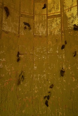 Image 11 of 25