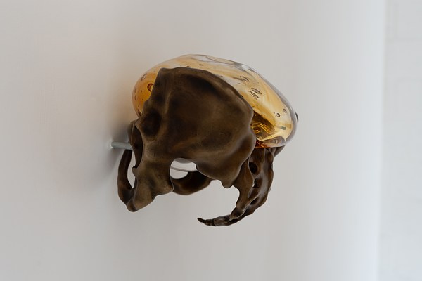 Image 22 of 25