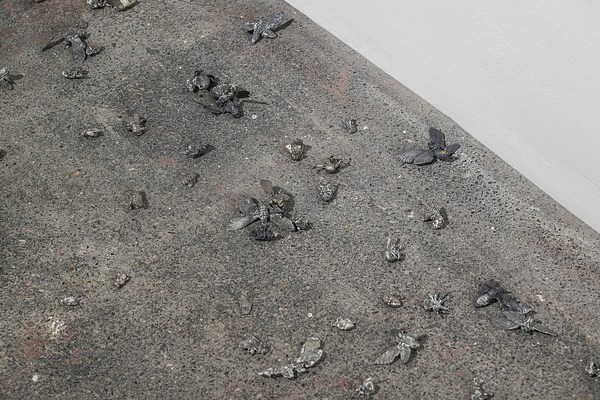 Image 7 of 30