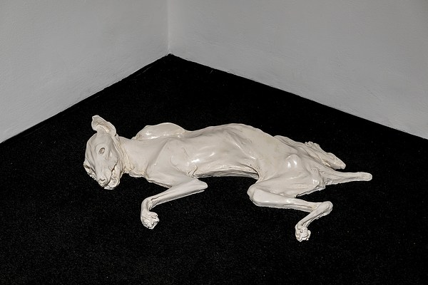 Image 10 of 30