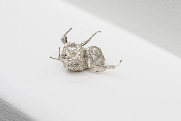 Image 28 of 30
