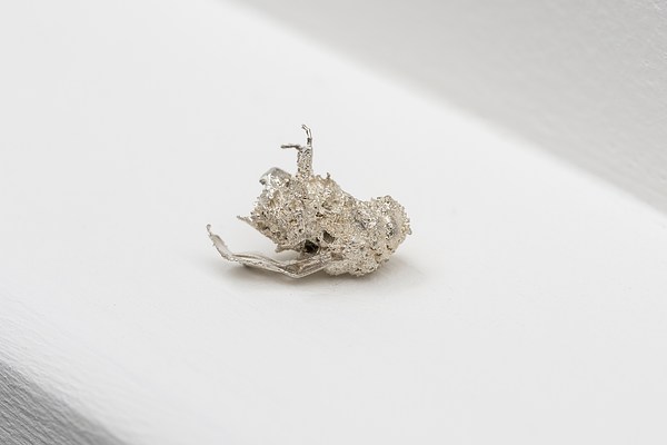Image 29 of 30