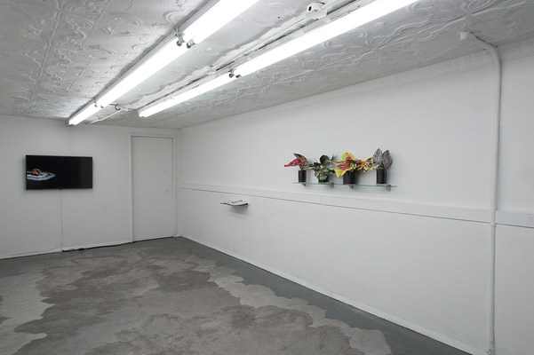 Image 4 of 35