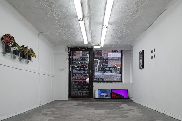 Image 6 of 35