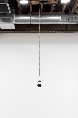 Image 7 of 12
