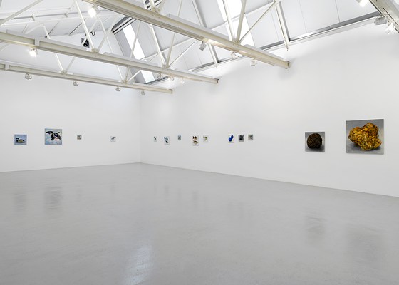 Image 1 of 47