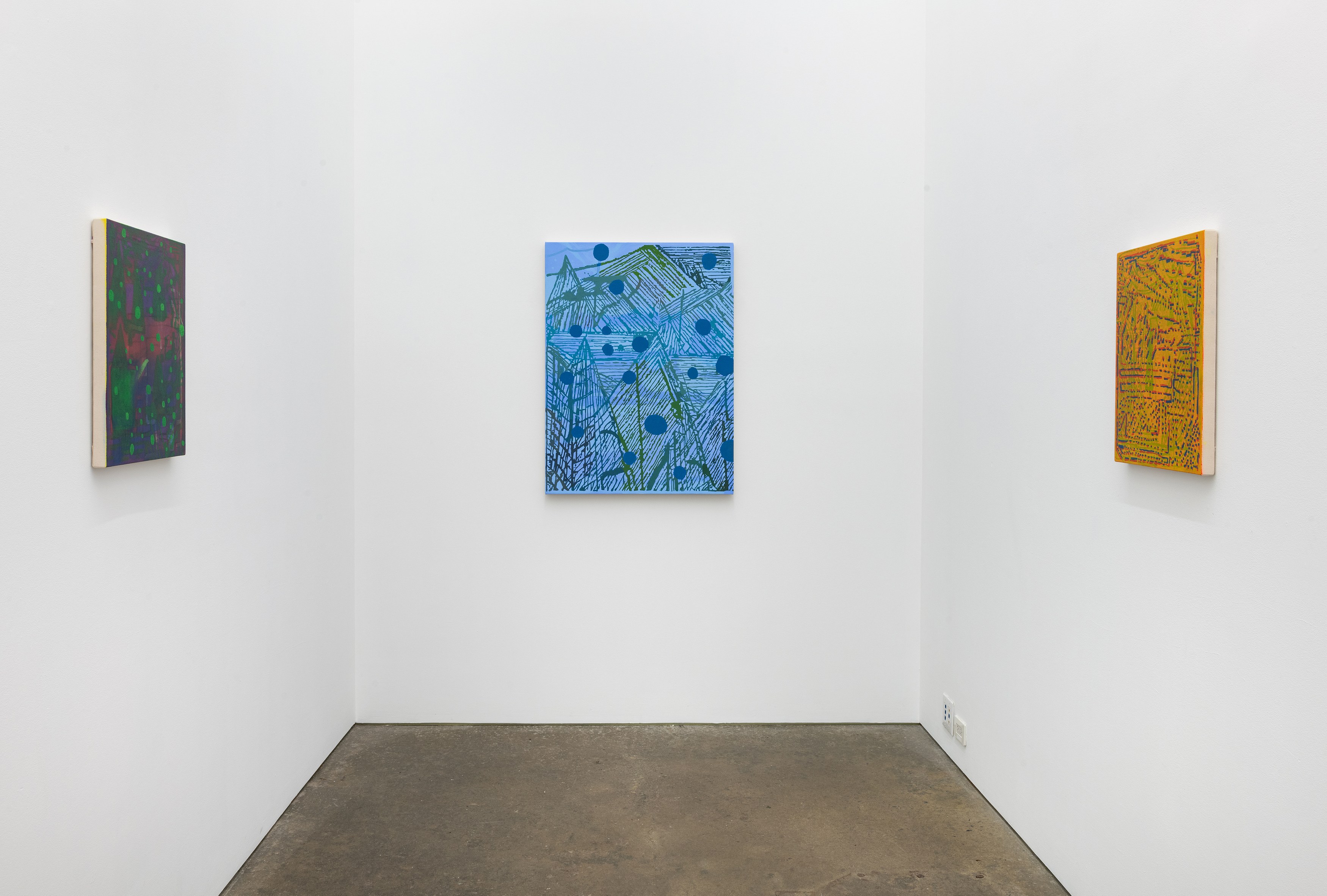 EJ Hauser, Grow Room at Derek Eller Gallery, photo 9