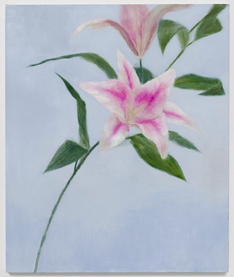 Image 10 of 14