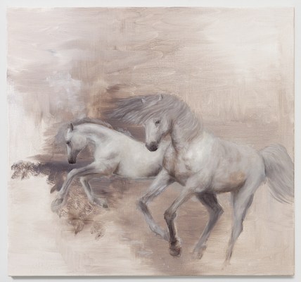 Image 14 of 14