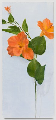 Image 13 of 14