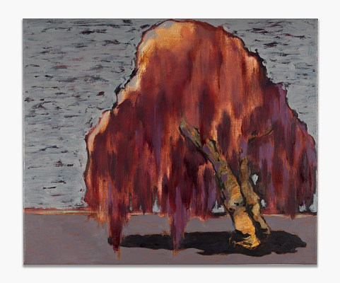 Image 7 of 18