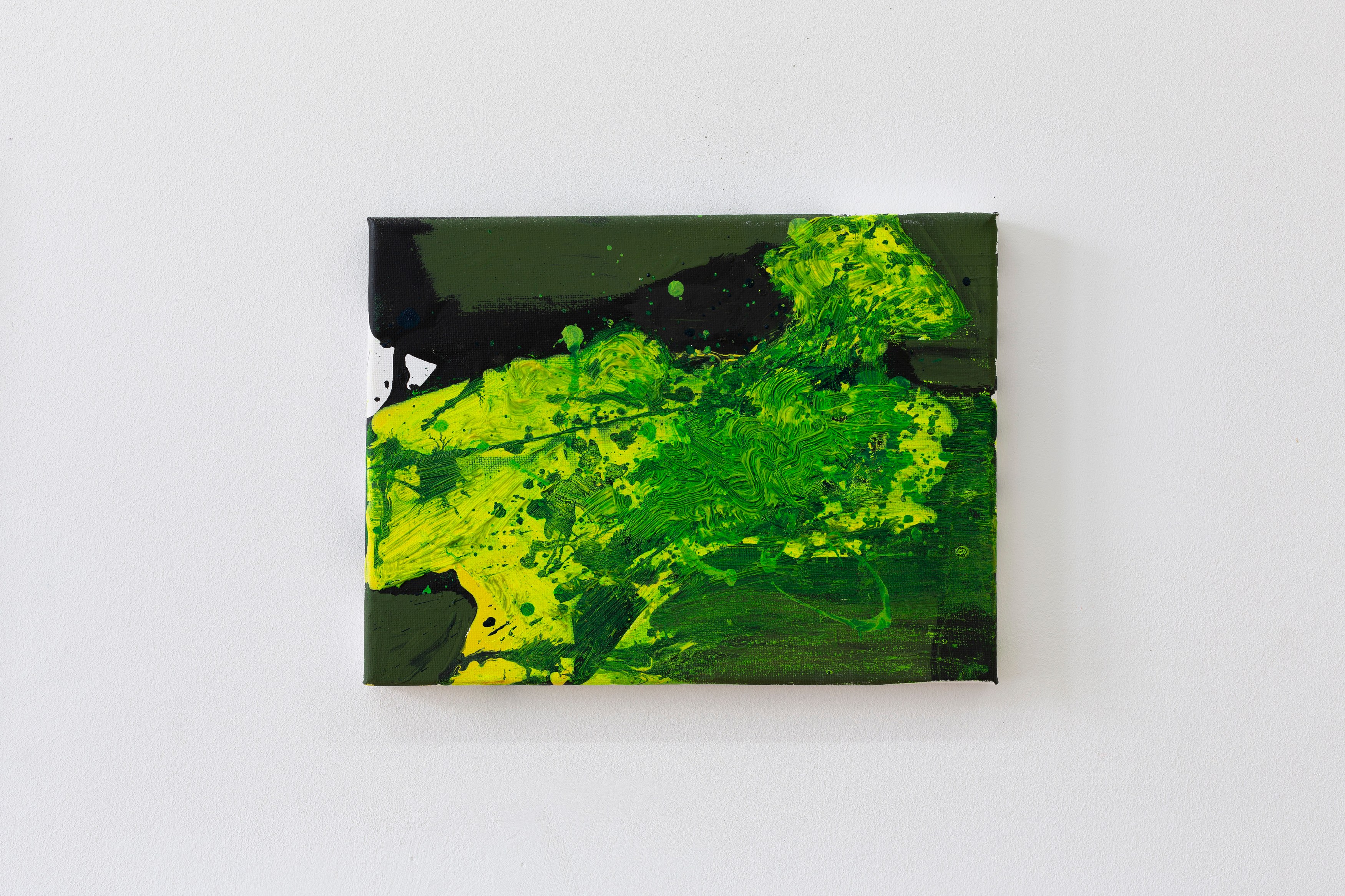 Anne Fellner, Primordial Dime at Zyrland Zoiropa, photo 8