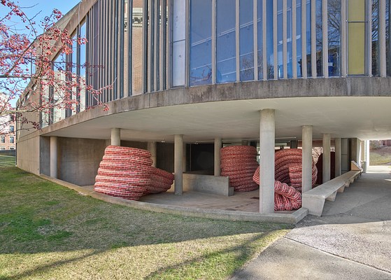 Image 18 of 21
