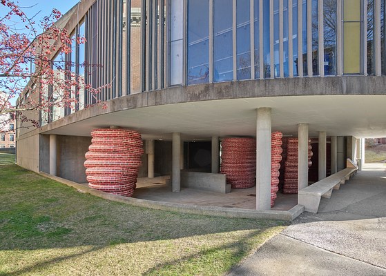 Image 19 of 21