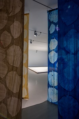Image 10 of 314