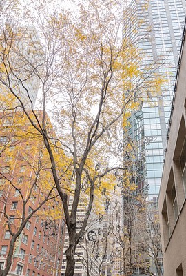 Image 1 of 25