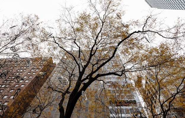 Image 7 of 25