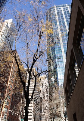 Image 13 of 25