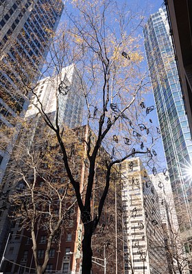 Image 12 of 25