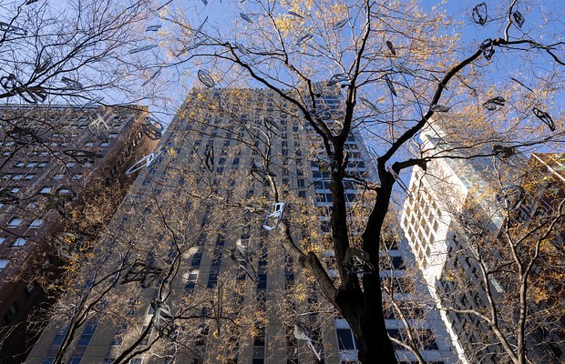 Image 15 of 25