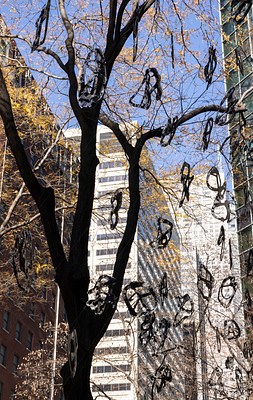 Image 14 of 25
