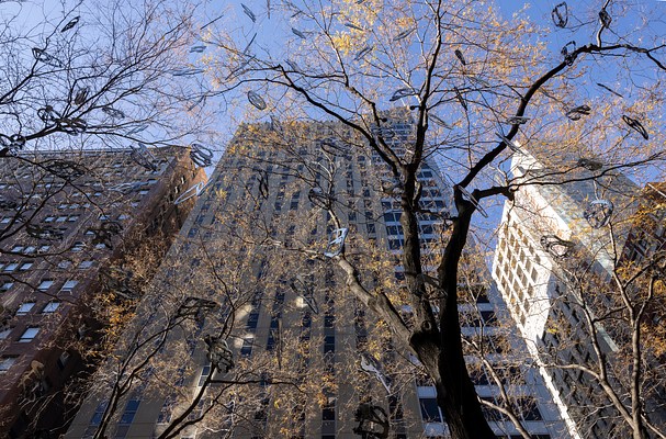 Image 16 of 25