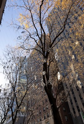 Image 19 of 25