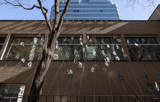 Image 22 of 25