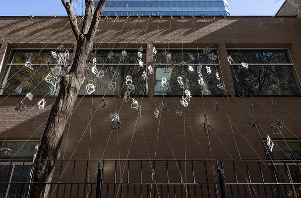 Image 23 of 25