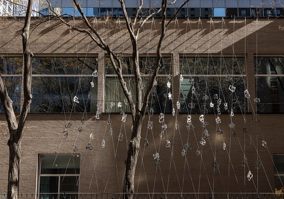 Image 25 of 25