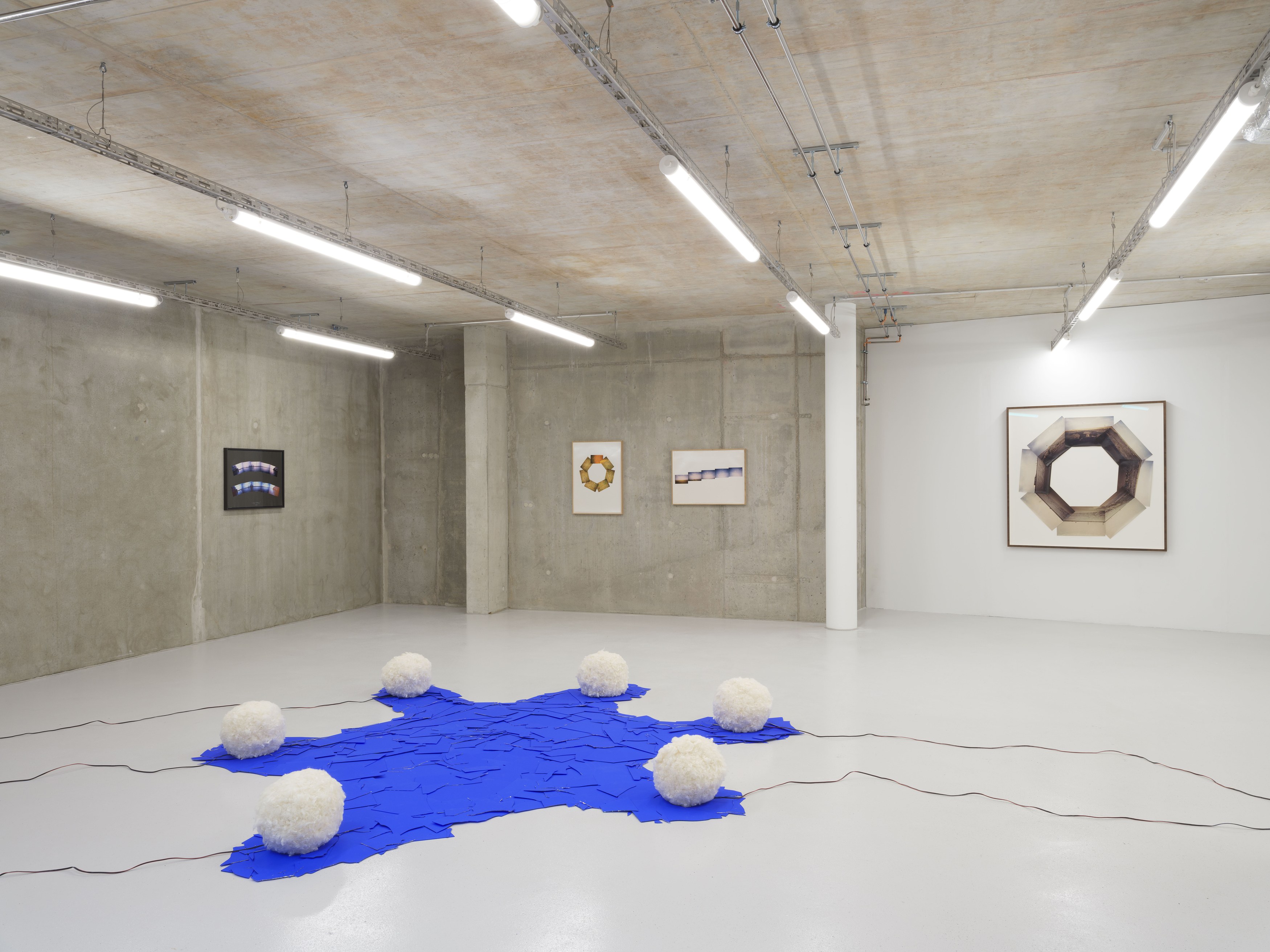 Margaret Raspé, Elemente at Galerie Molitor, photo 4