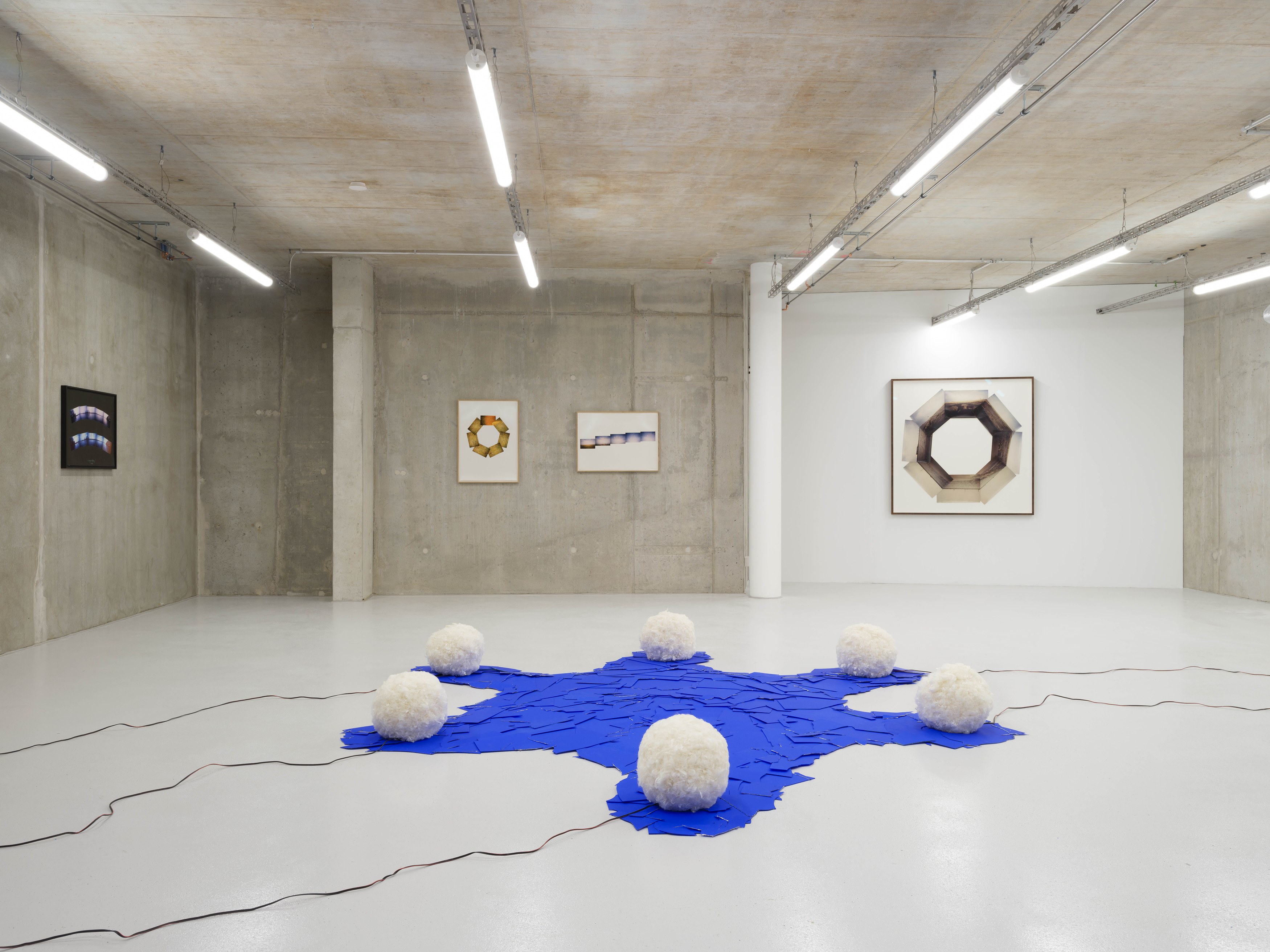 Margaret Raspé, Elemente at Galerie Molitor, photo 5