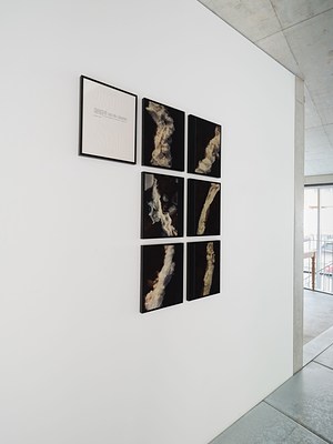 Image 8 of 38