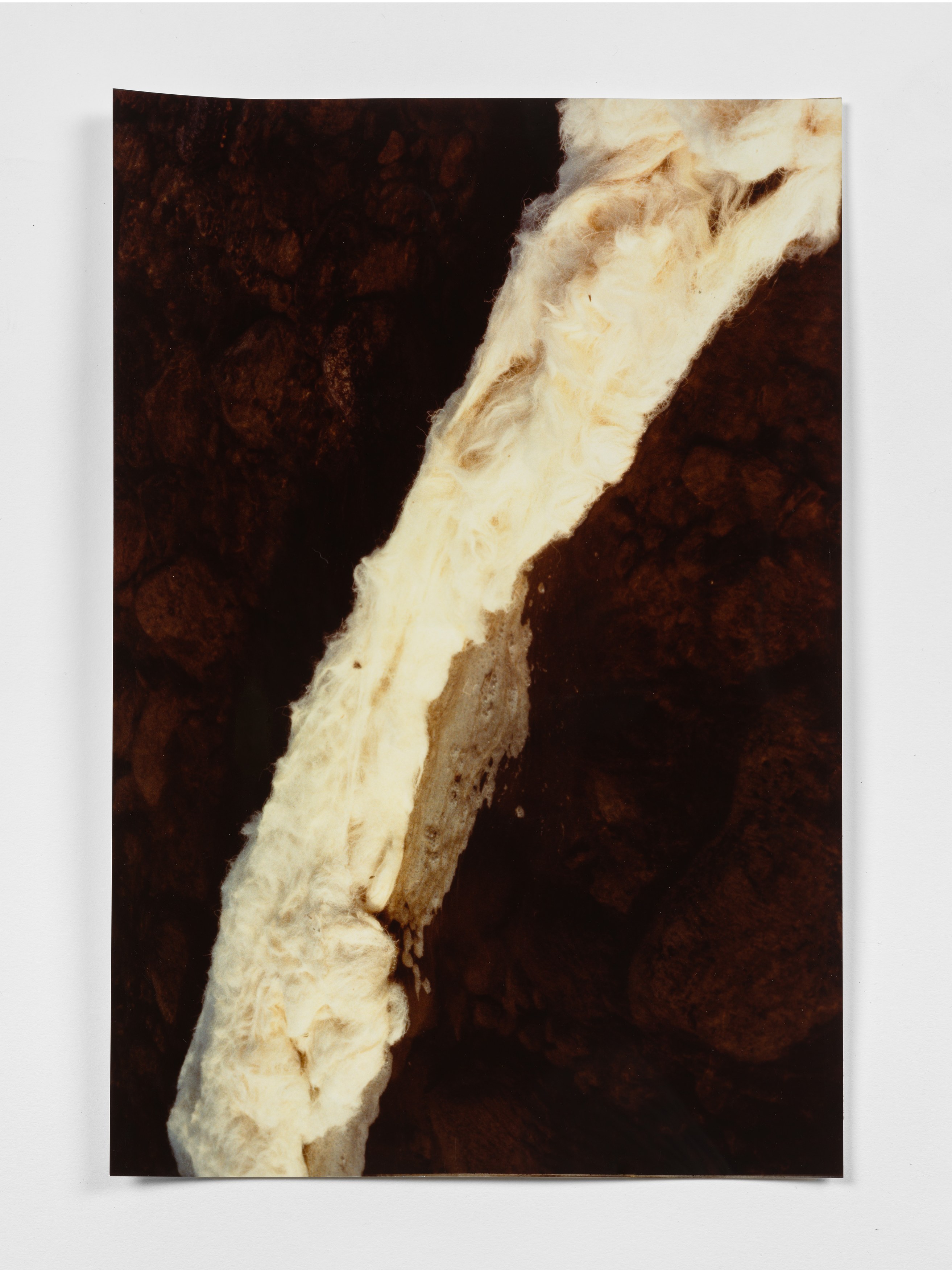Margaret Raspé, Elemente at Galerie Molitor, photo 11