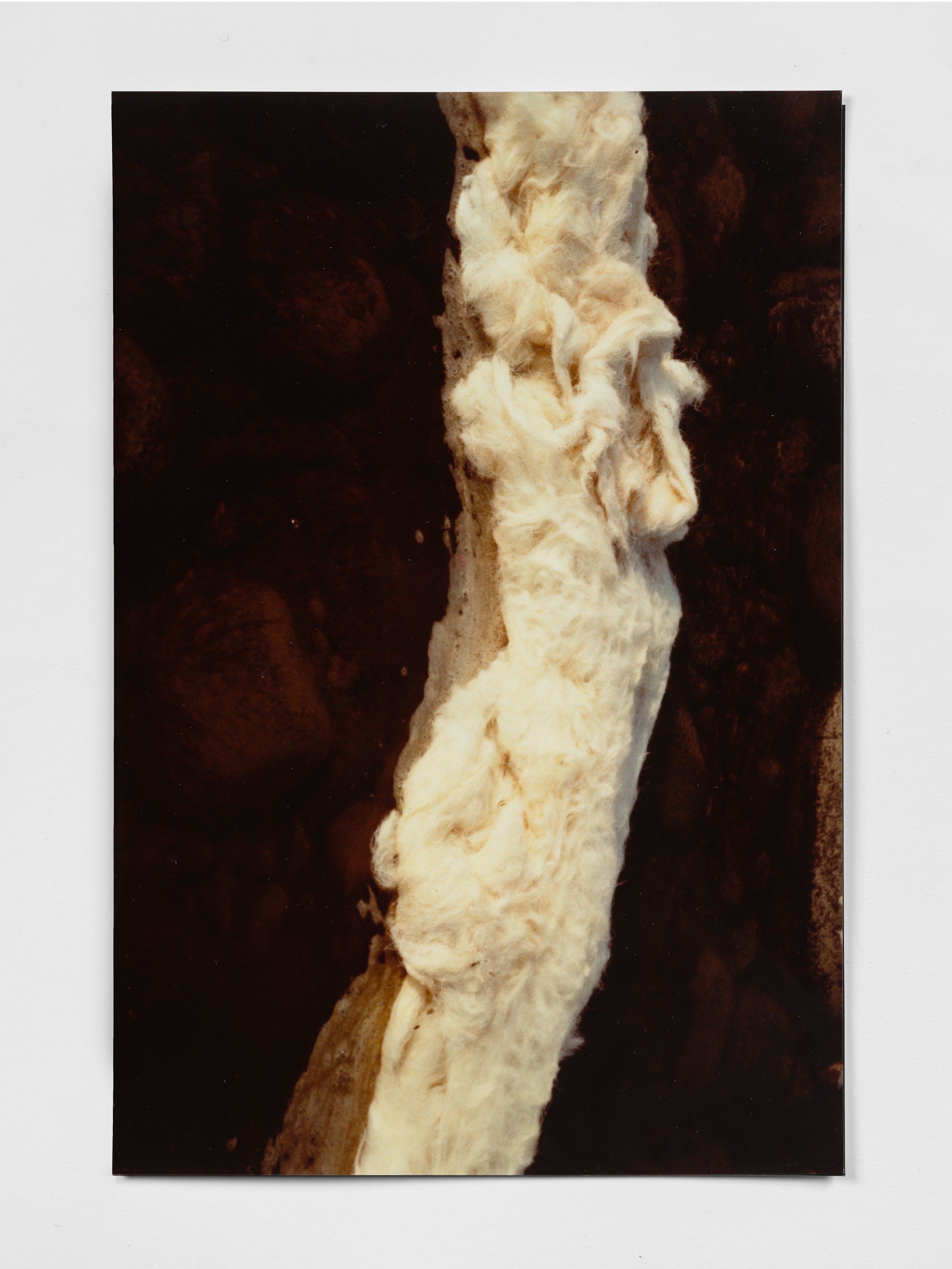 Margaret Raspé, Elemente at Galerie Molitor, photo 12