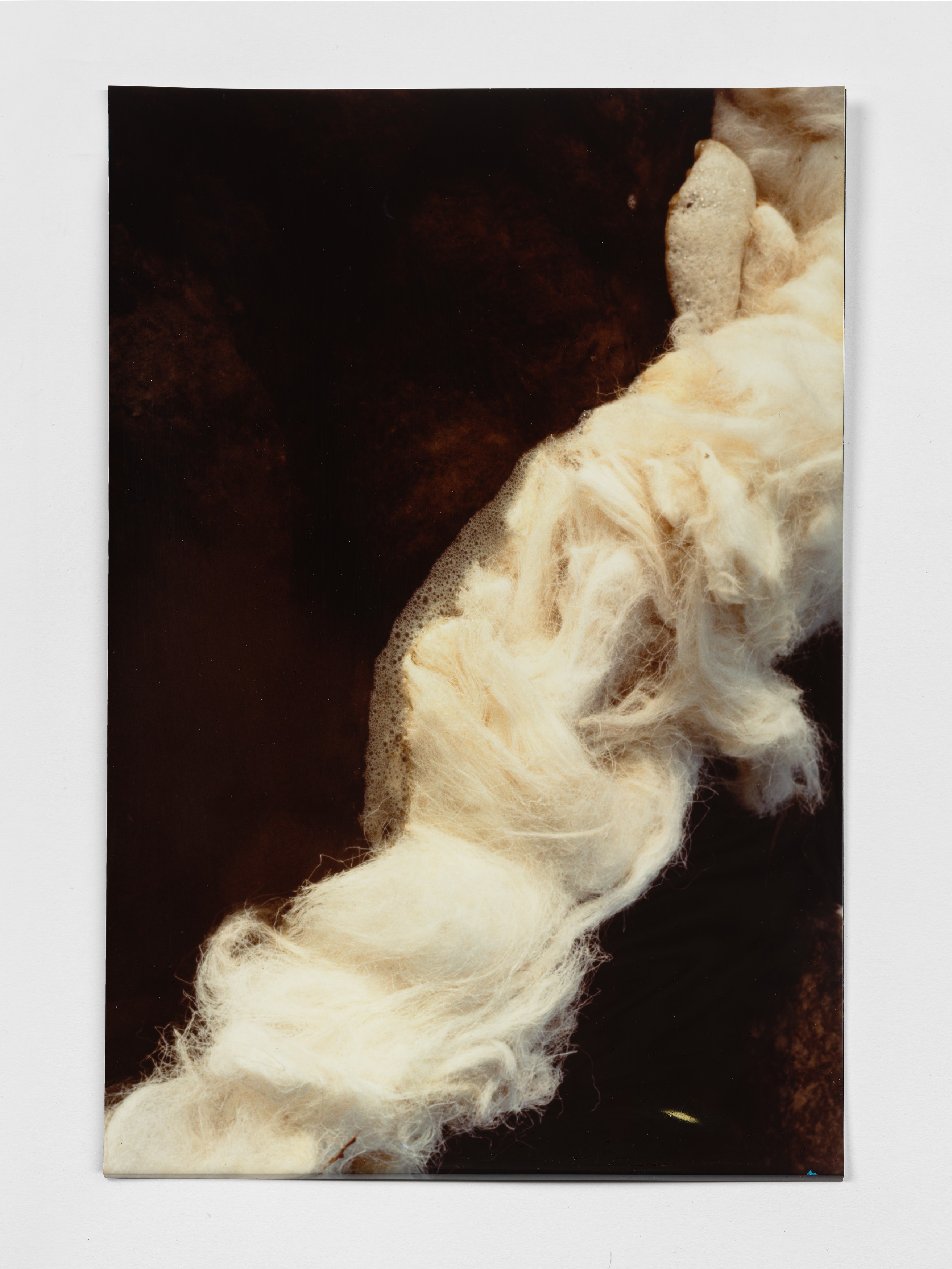 Margaret Raspé, Elemente at Galerie Molitor, photo 13