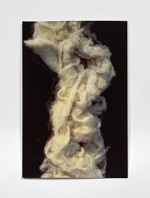 Image 14 of 38