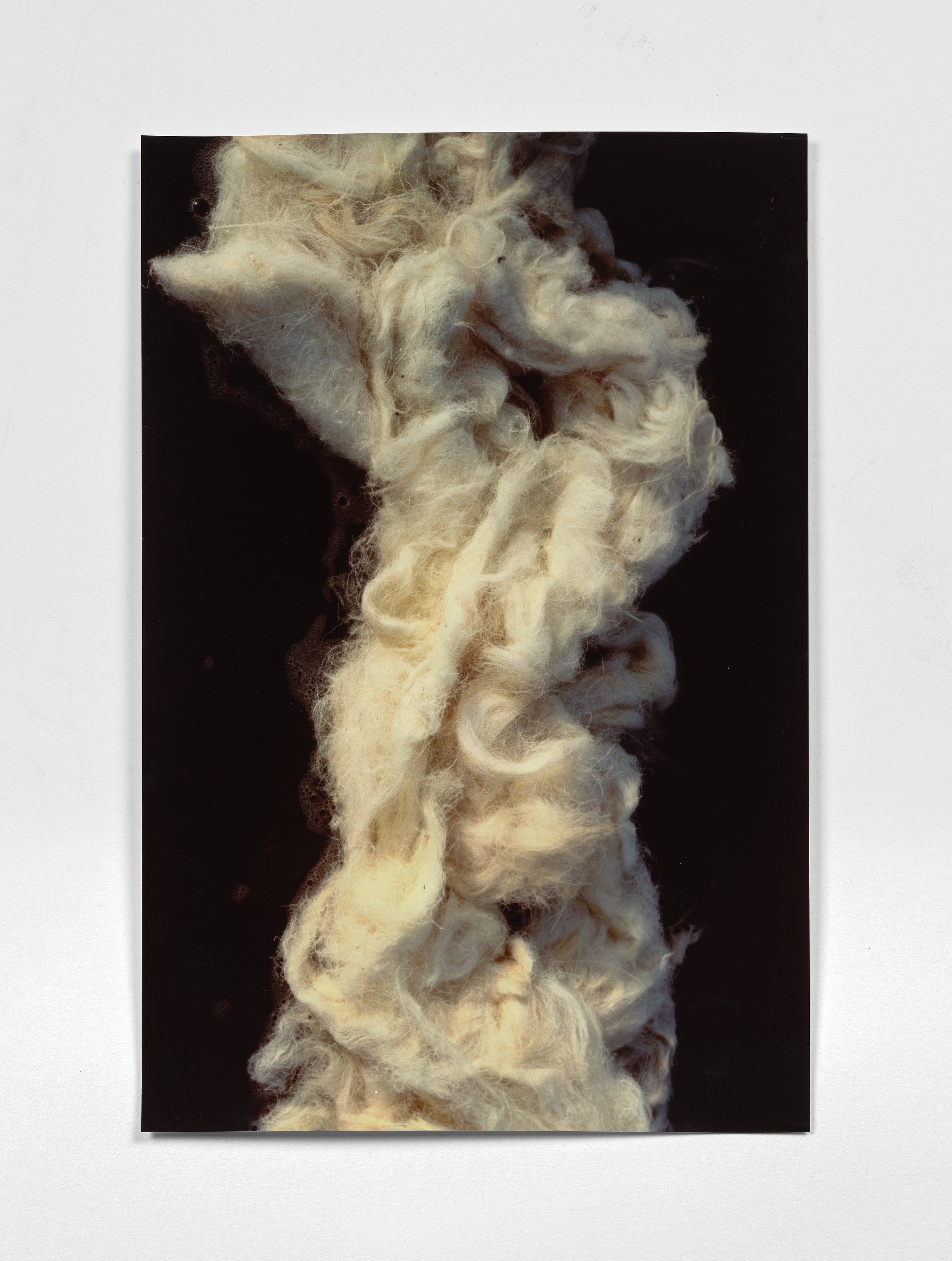 Margaret Raspé, Elemente at Galerie Molitor, photo 14