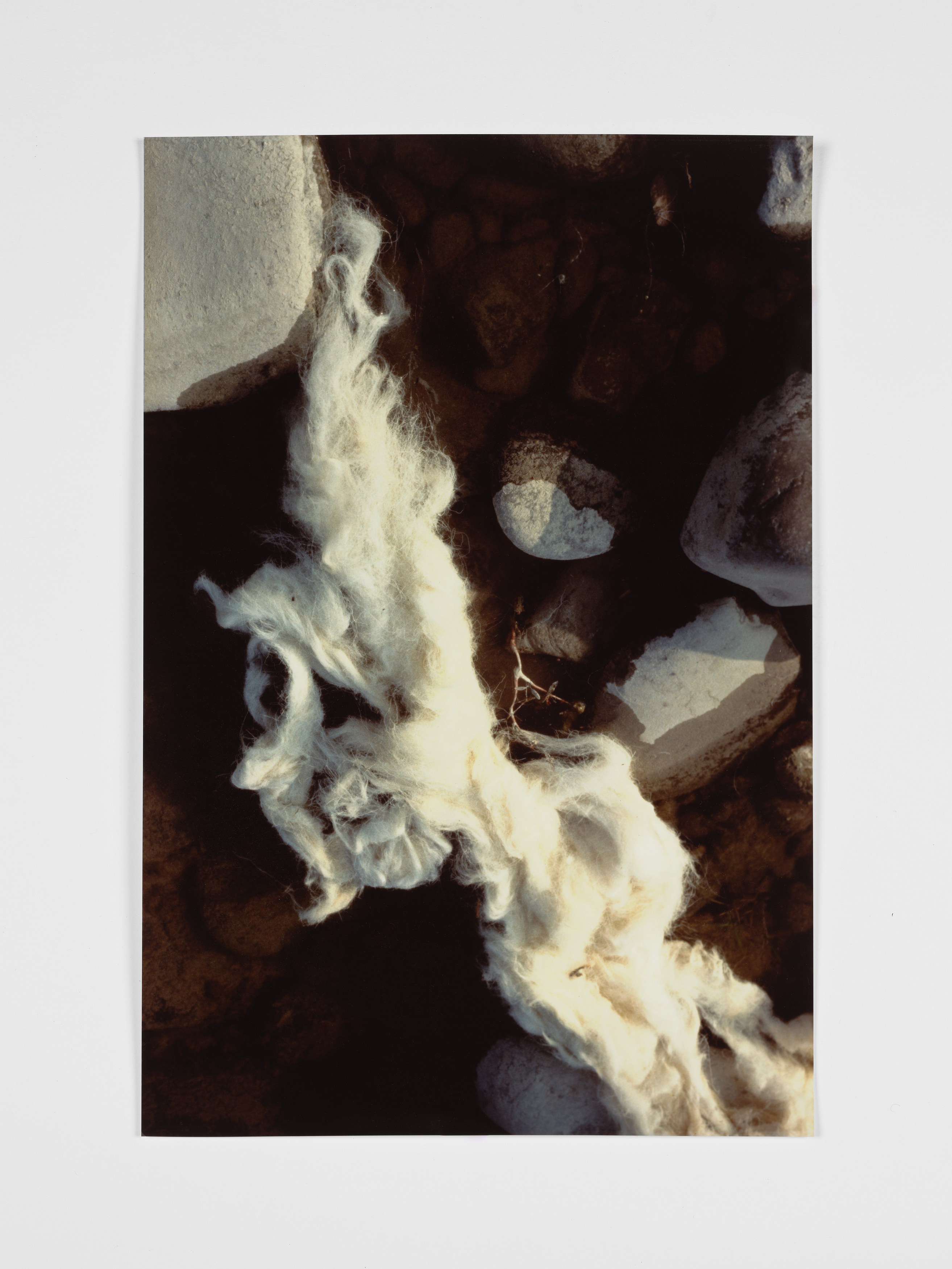 Margaret Raspé, Elemente at Galerie Molitor, photo 15