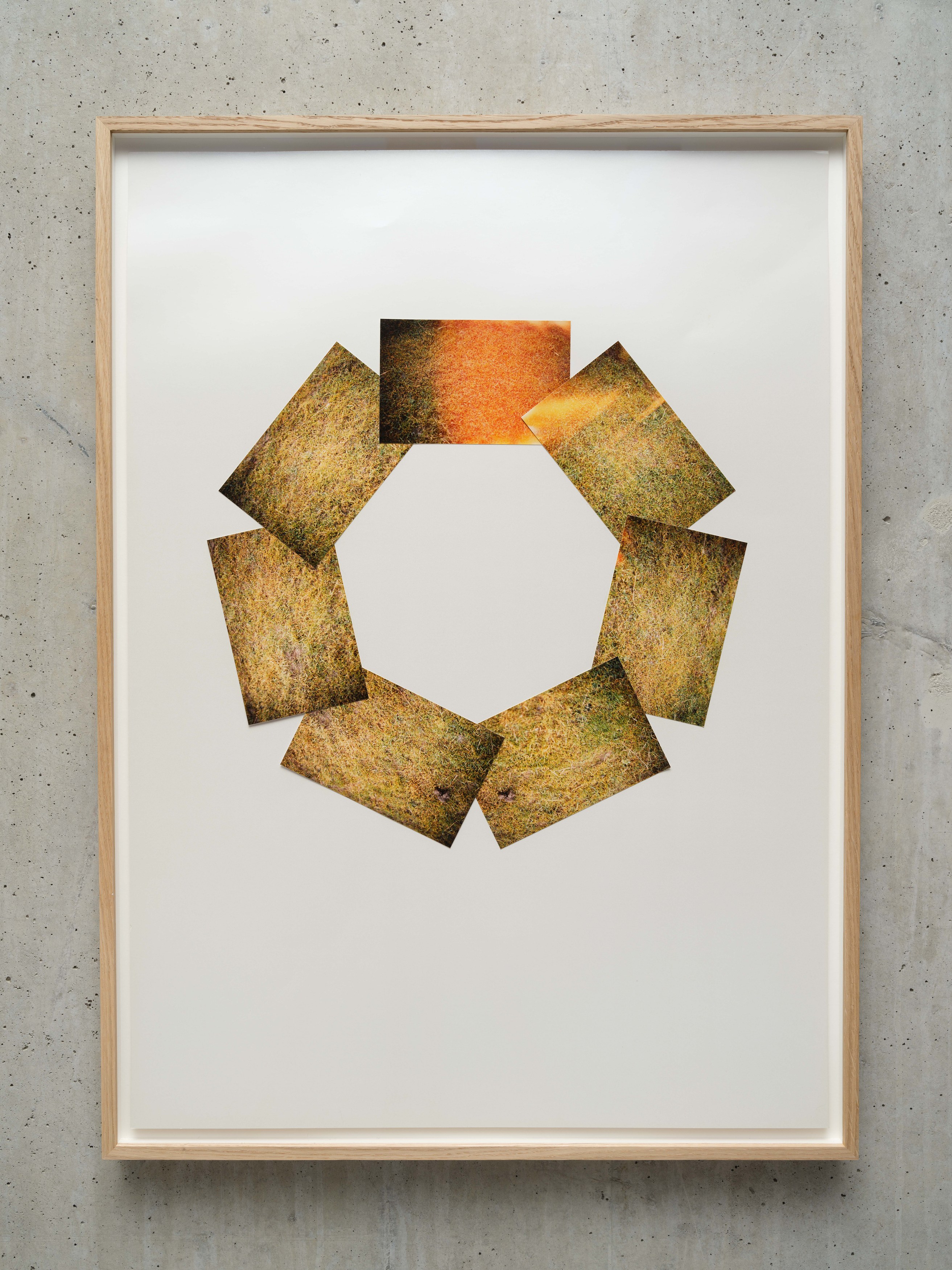 Margaret Raspé, Elemente at Galerie Molitor, photo 19