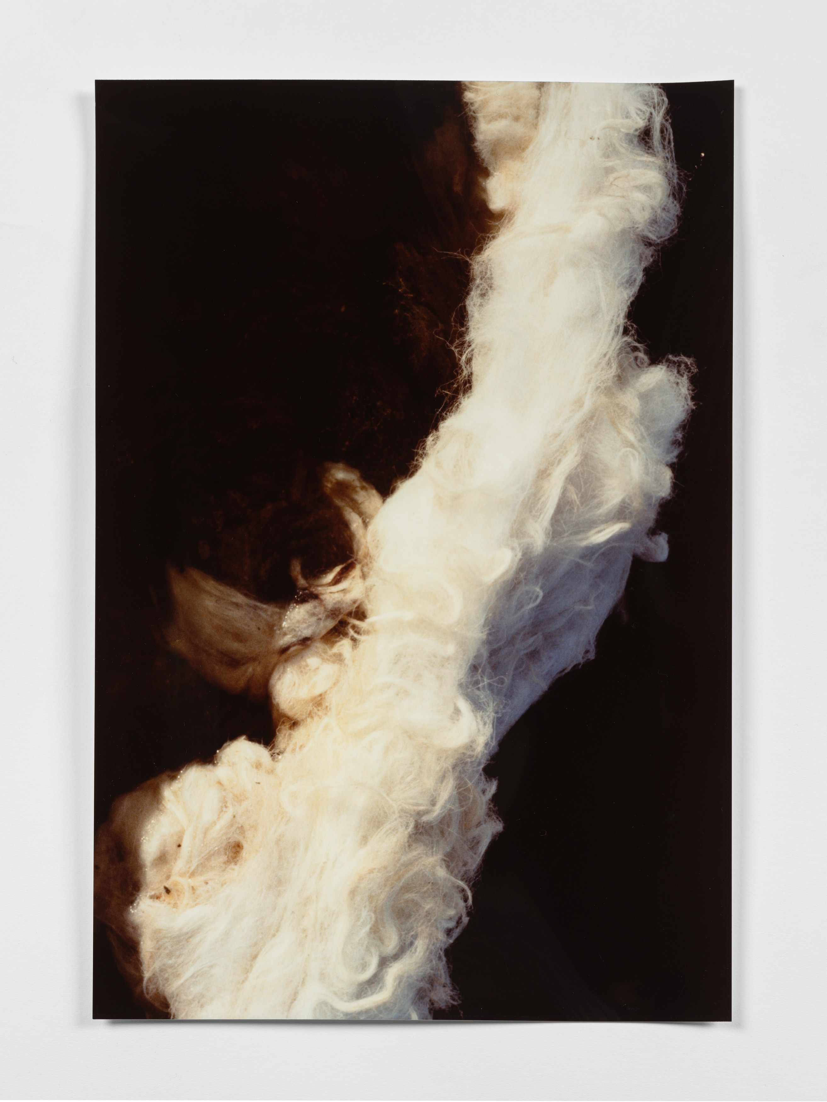 Margaret Raspé, Elemente at Galerie Molitor, photo 18