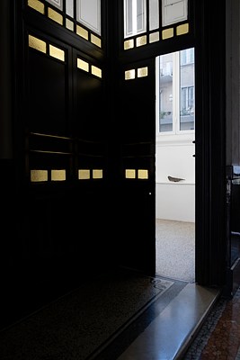 Image 1 of 19