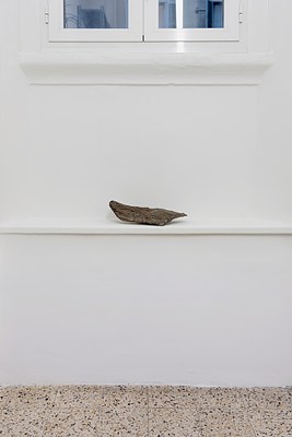 Image 3 of 19