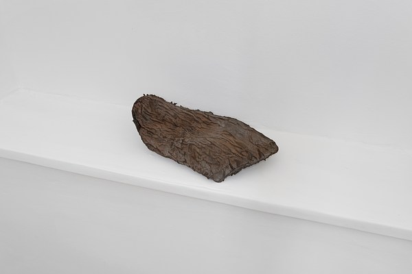 Image 4 of 19