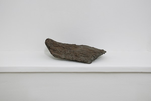 Image 5 of 19