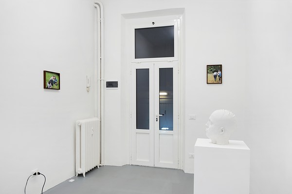 Image 12 of 19