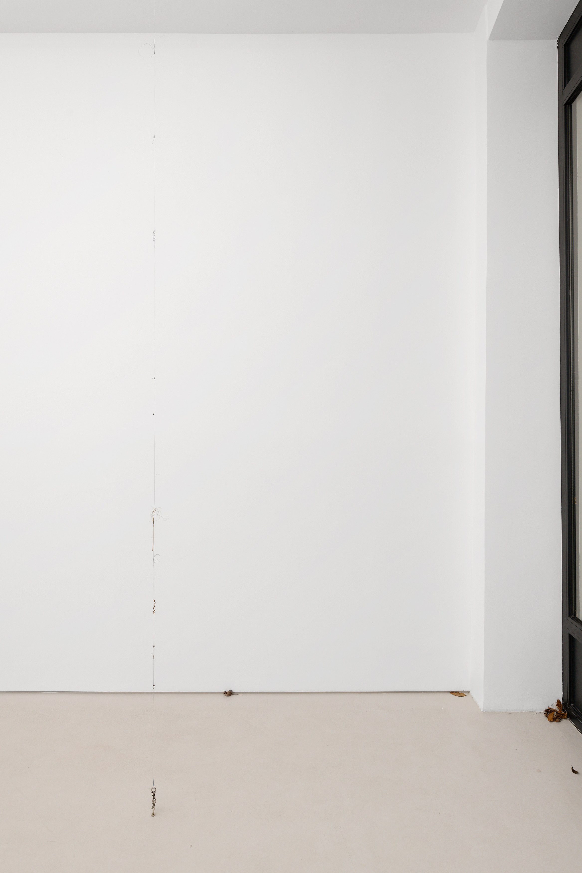 Kirill Savchenkov, The Stranded Horse and The Riderless Night at Galerie Allen, photo 2