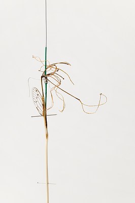 Image 4 of 13