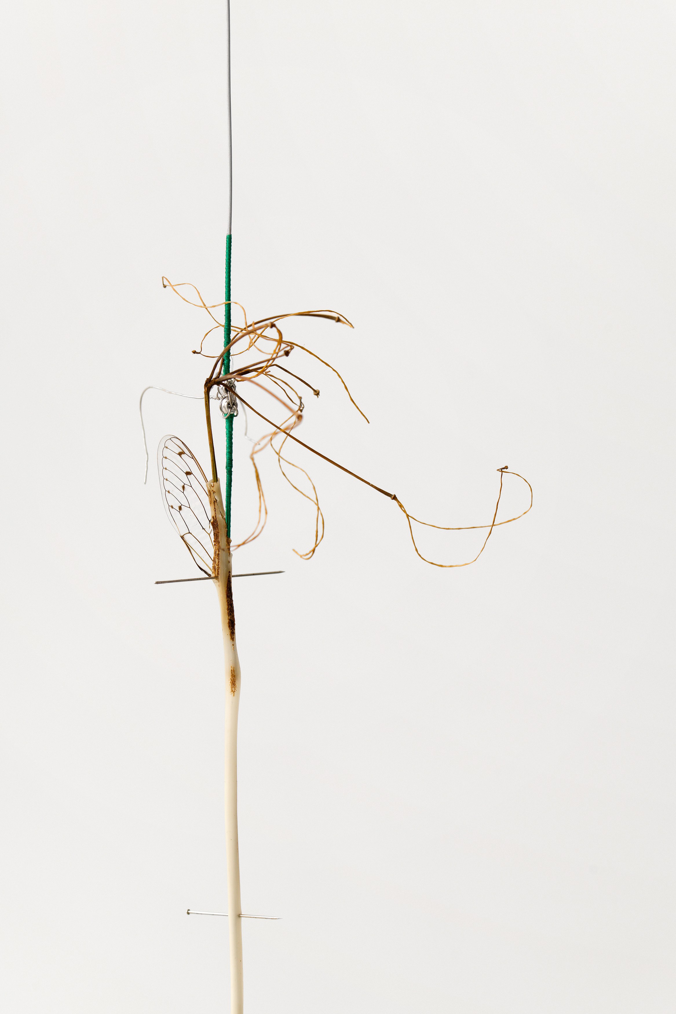 Kirill Savchenkov, The Stranded Horse and The Riderless Night at Galerie Allen, photo 4
