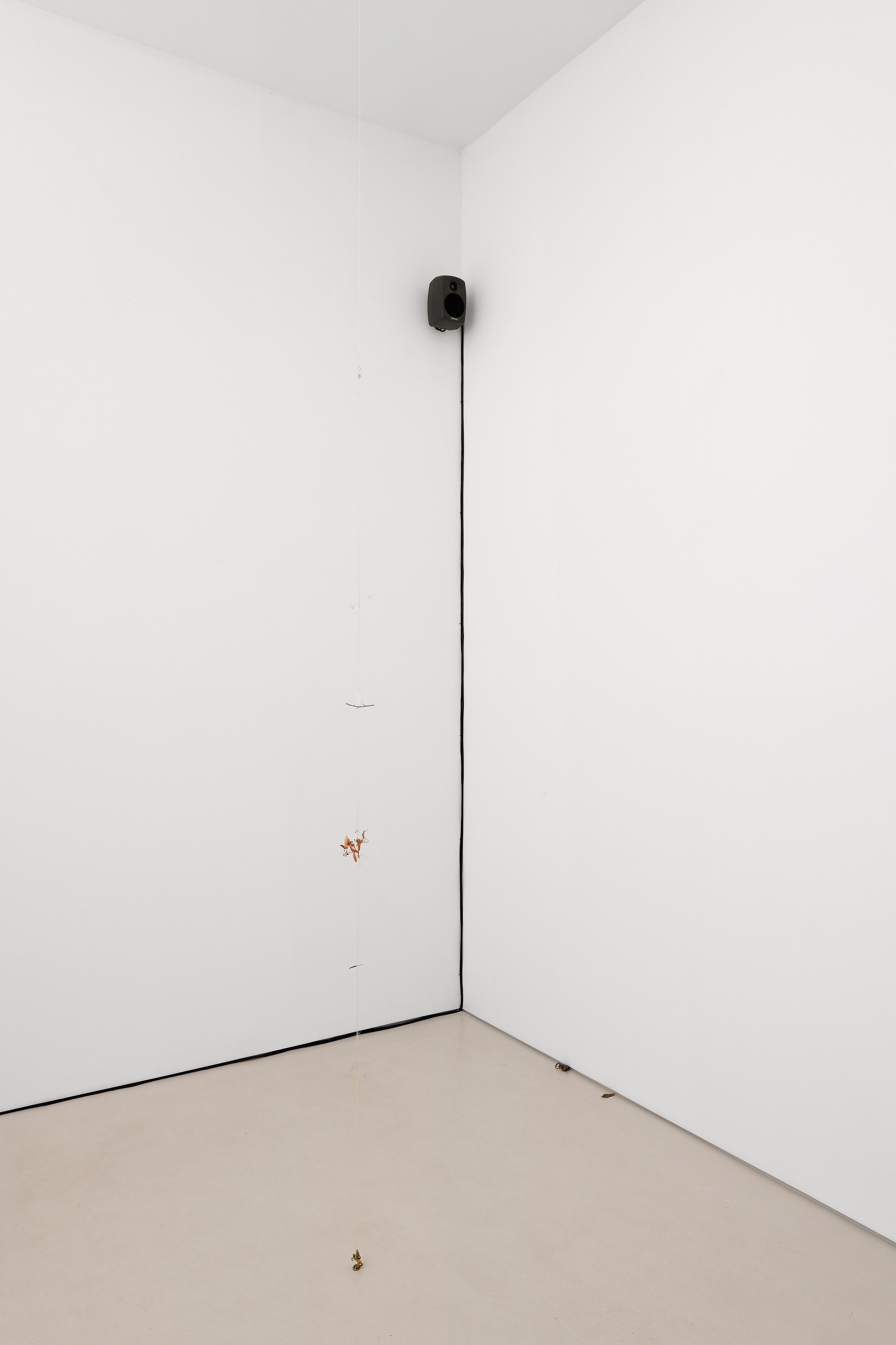 Kirill Savchenkov, The Stranded Horse and The Riderless Night at Galerie Allen, photo 5